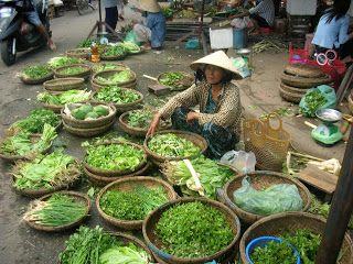 Von Ha Noi nach Hoi An