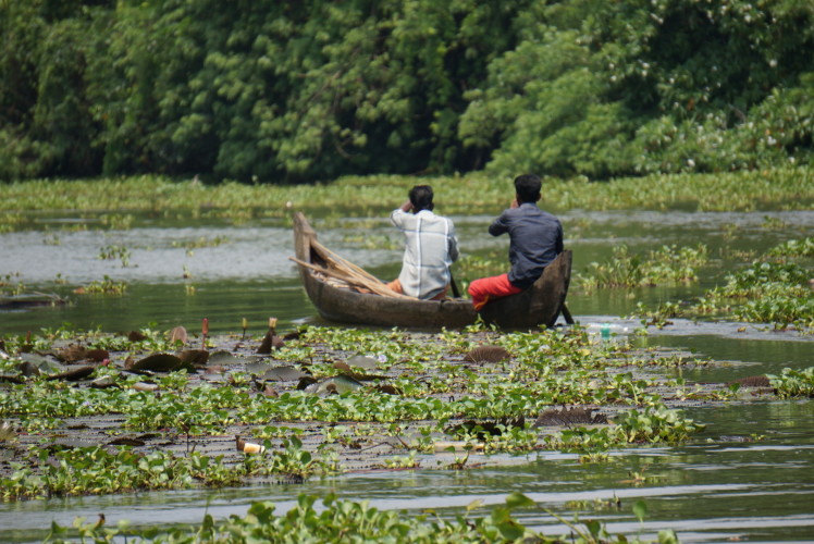 Mit dem Boot durch die Backwaters